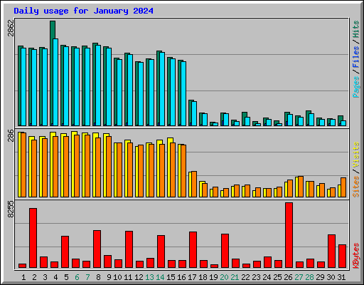 Daily usage for January 2024