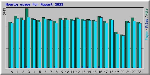 Hourly usage for August 2023