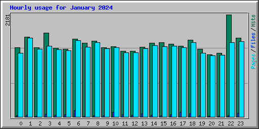 Hourly usage for January 2024