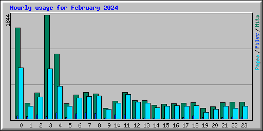 Hourly usage for February 2024