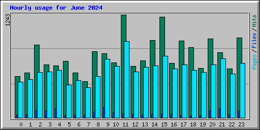 Hourly usage for June 2024